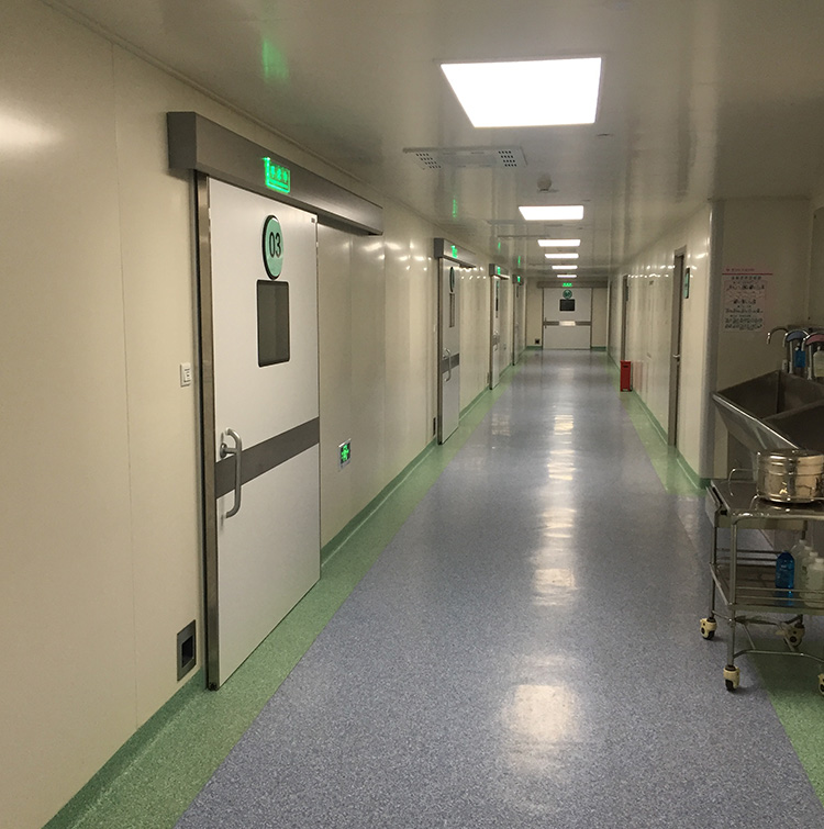 Corridor Door